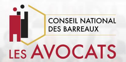 Maître Anne Lenoir avocat au conseil national des barreaux